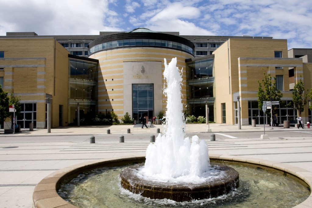 york-university